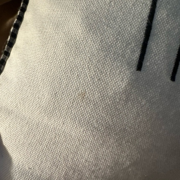 Rae Dunn Hey Boo Ghost Pillow - Picture 4 of 5